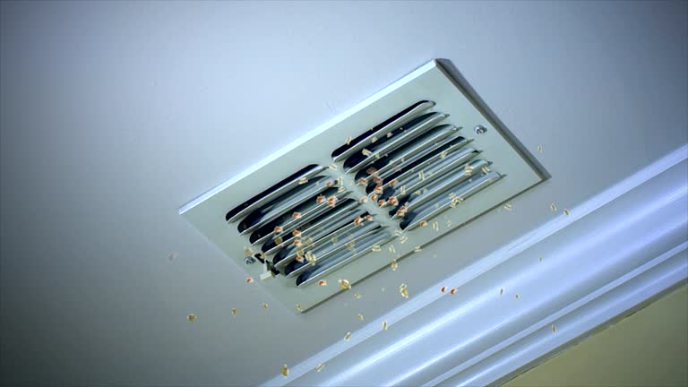 Best Duct Cleaning for Offices  in Rossville, IN
