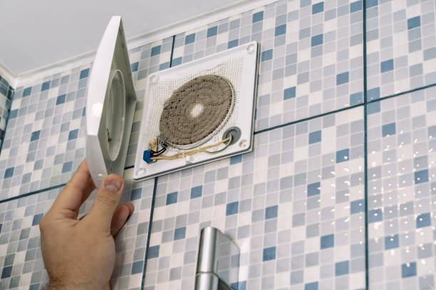 Best HVAC Duct Inspection Services  in Rossville, IN