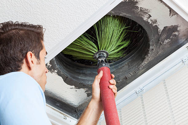 Best Ductwork Cleaning Services  in Rossville, IN