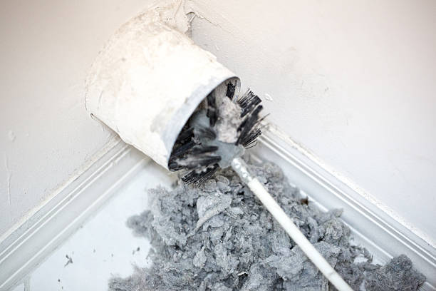Best Affordable Duct Cleaning Services  in Rossville, IN