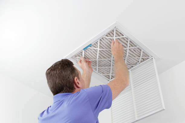 Best Local Air Duct Cleaning Services  in Rossville, IN